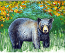 Black Bear Place Mats (Pack 4) Color Animal Modern Contemporary Rectangle Polyester