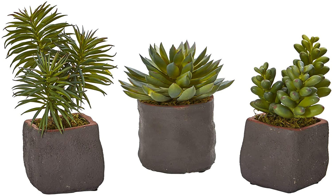 Mixed Succulent Trio Artificial Plant (Set