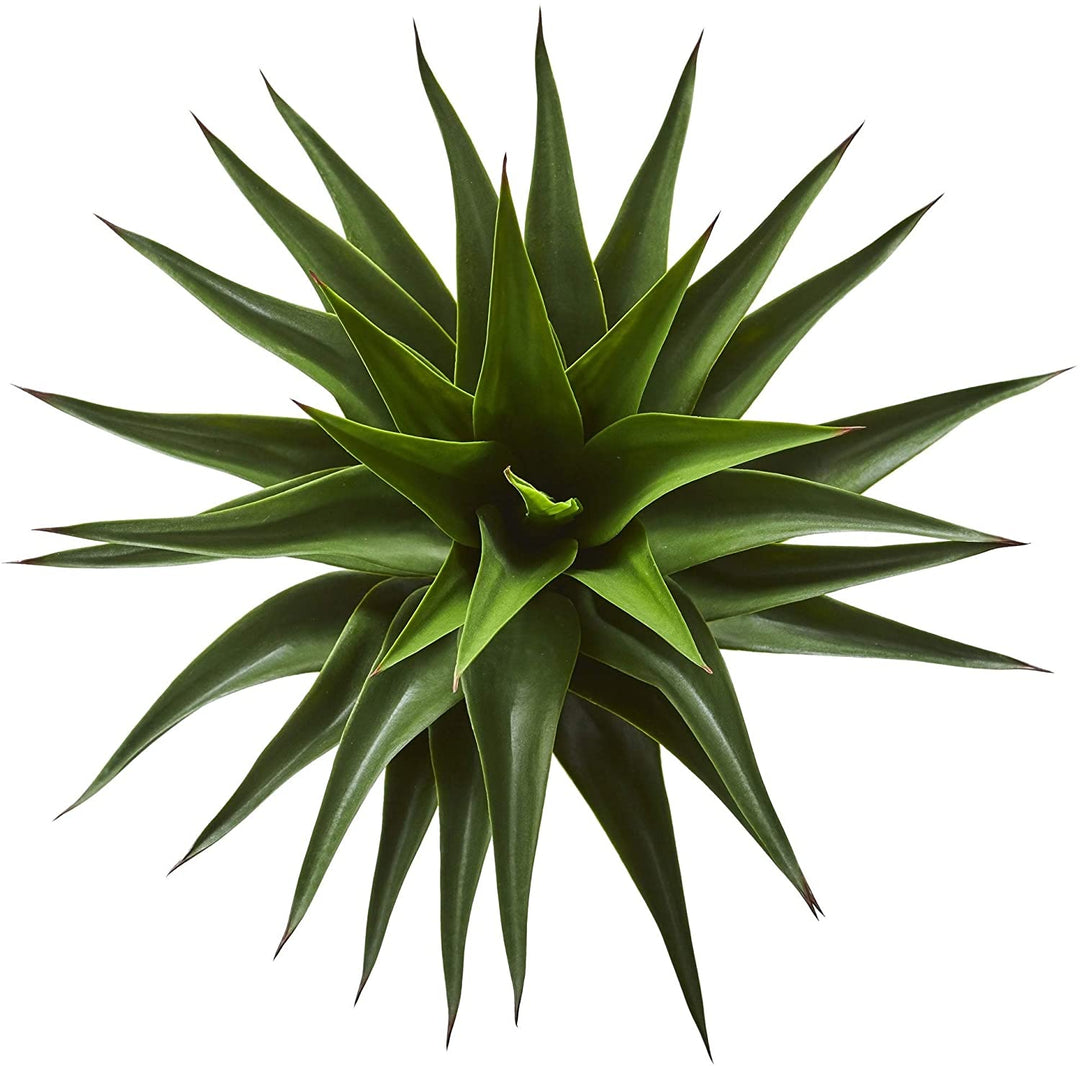 28" Agave Artificial Plant H 28 W 20 D - Diamond Home USA