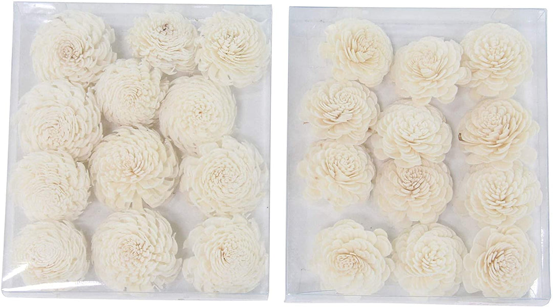 Set 2 Boxed Natural White Carnation Flowers Bohemian