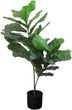 UKN 3ft Leaf Fig Tree Pot 36" H X 24" W 18" Dp Green