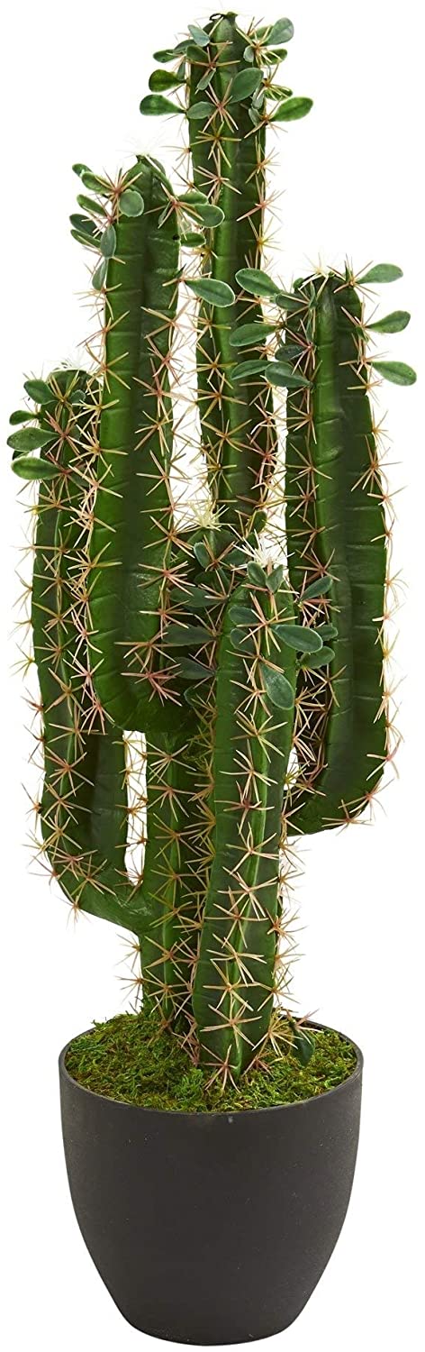 Green Cactus Plant 2 5 Ft M Size Artificial Tree Desktop