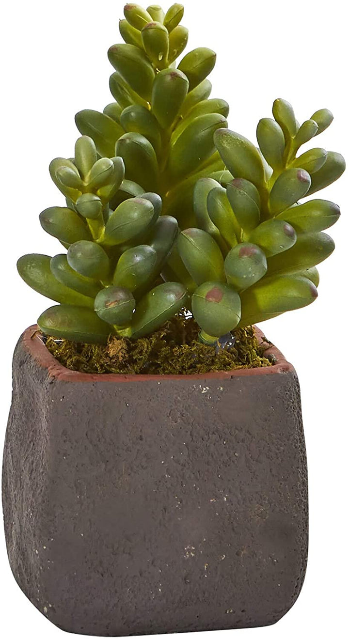 Mixed Succulent Trio Artificial Plant (Set 3) - Diamond Home USA