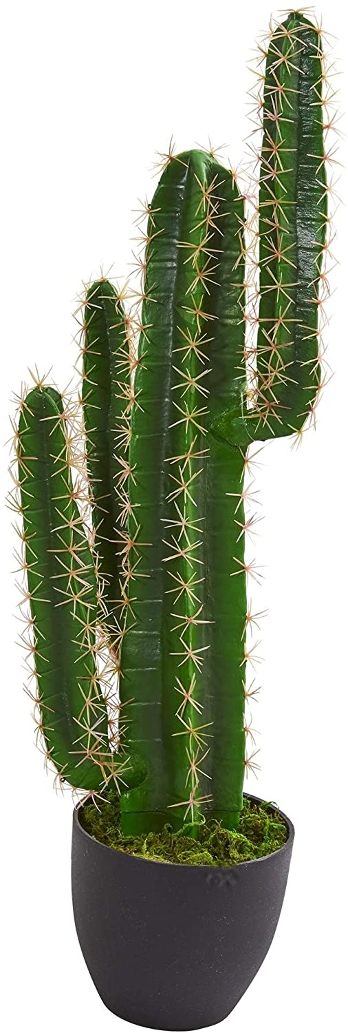 3' Cactus Artificial Plant H 3 Ft W 8