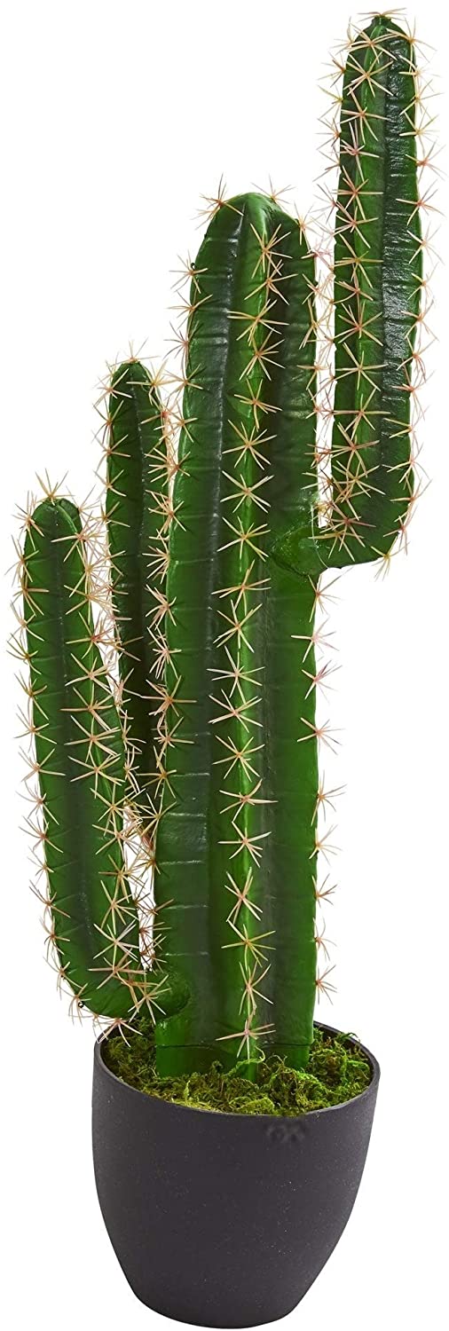 UKN 3' Cactus Artificial Plant H 3 Ft W 8 D