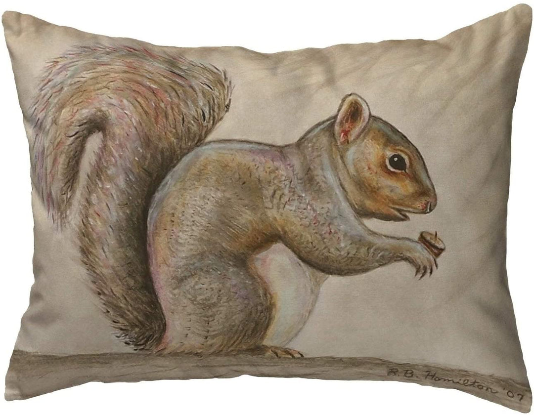 Squirrel Small No Cord Pillow 11x14 Color Graphic Cabin