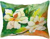 Magnolia Small No Cord Pillow 11x14 Color Graphic Nautical Coastal Polyester