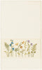 UKN Cream Turkish Cotton Wildflowers Embroidered Bath Towel Brown Floral