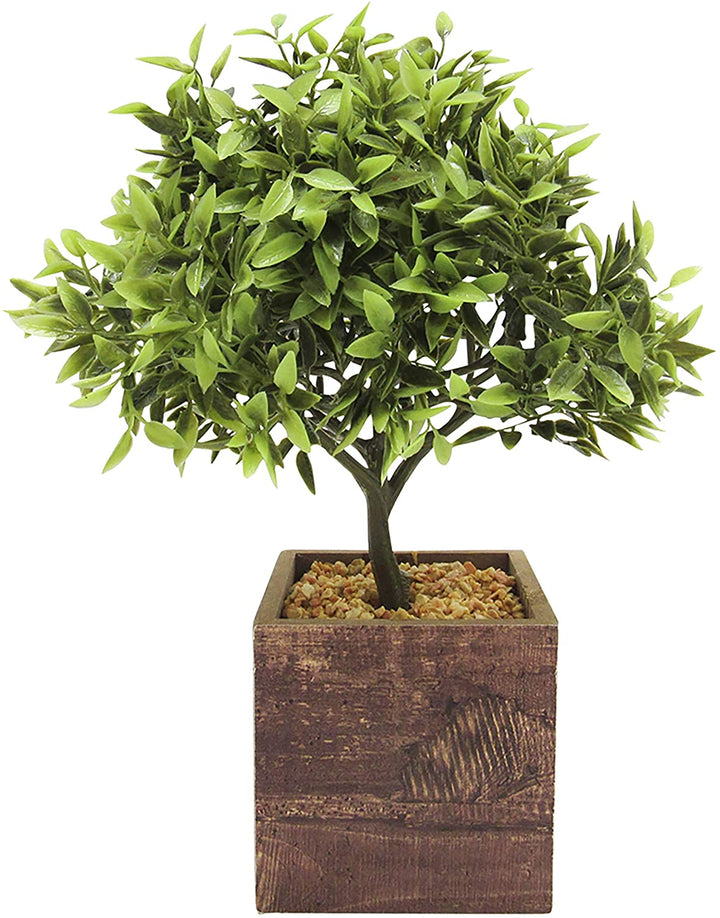 Leaf Tree Square Wood Pot 11in 11" H X 7 5" W Dp Green - Diamond Home USA