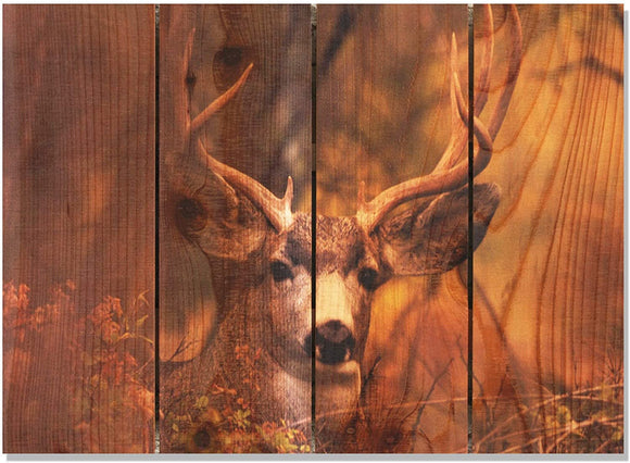 Perfect Look 22 5x16 Indoor/Outdoor Full Color Cedar Wall Art Brown