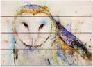 Barn Owl 20x14 Indoor/Outdoor Full Color Wall Art Transitional Pine