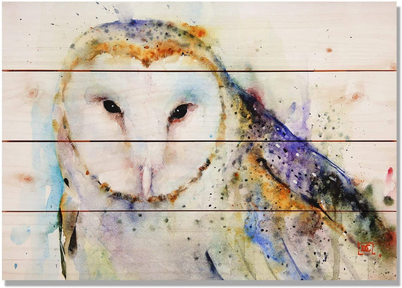 Barn Owl 20x14 Indoor/Outdoor Full Color Wall Art Transitional Pine