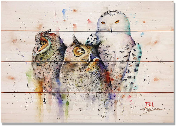 Owl Trio 20x14 Indoor/Outdoor Full Color Wall Art Transitional Pine