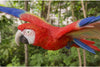 MISC Parrot Flying Statue Polyresin
