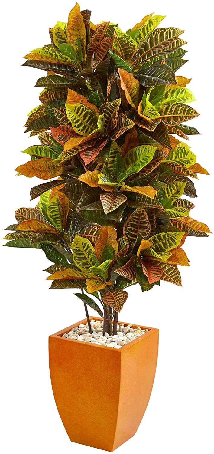 5 5 Foot Croton Plant Orange Planter Faux Tall Decorative