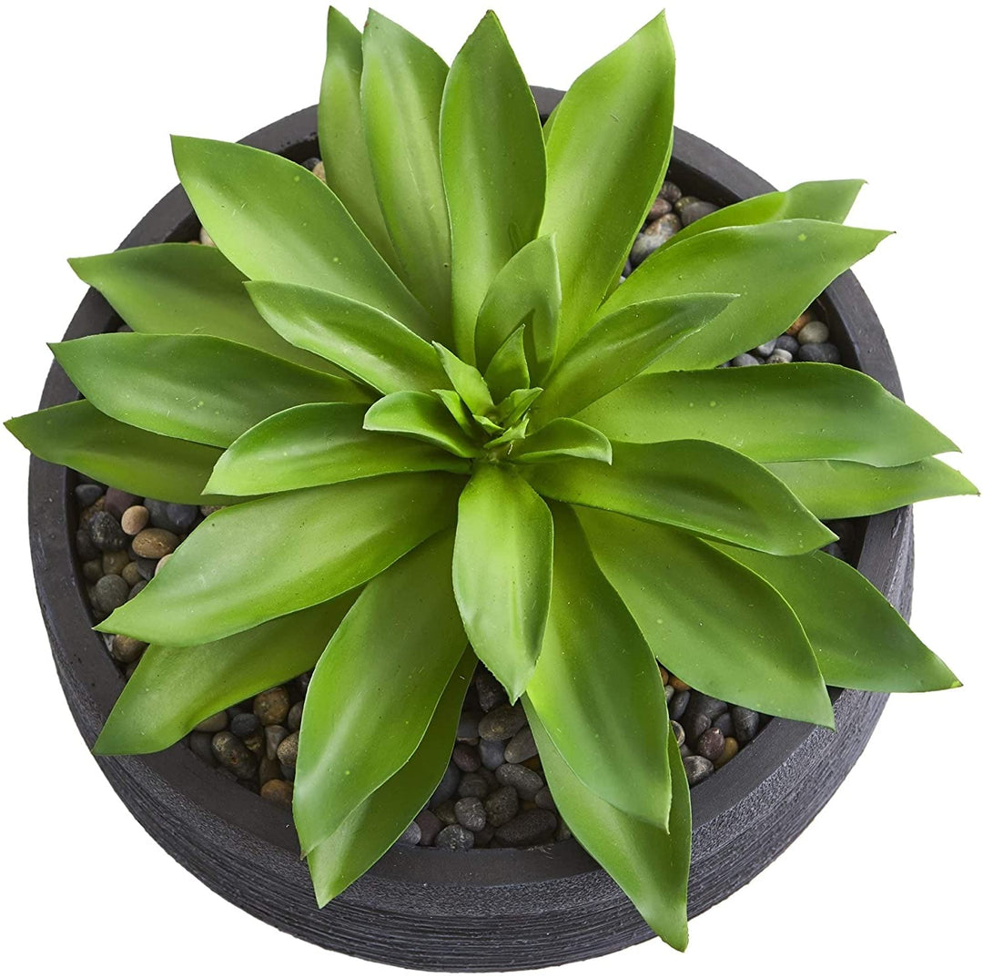 Large Succulent Artificial Plant Decorative Bowl