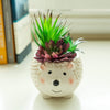 MISC Faux Succulent 6" Large Brown Hedgehog Ceramic Planter One Size Handmade