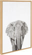 Elephant Framed Canvas Wall Art Natural 23 X 33 Modern Contemporary Rectangle