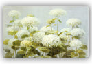 'White Hydrangea Garden' Gallery Wrapped Canvas Wall Art Traditional Rectangle