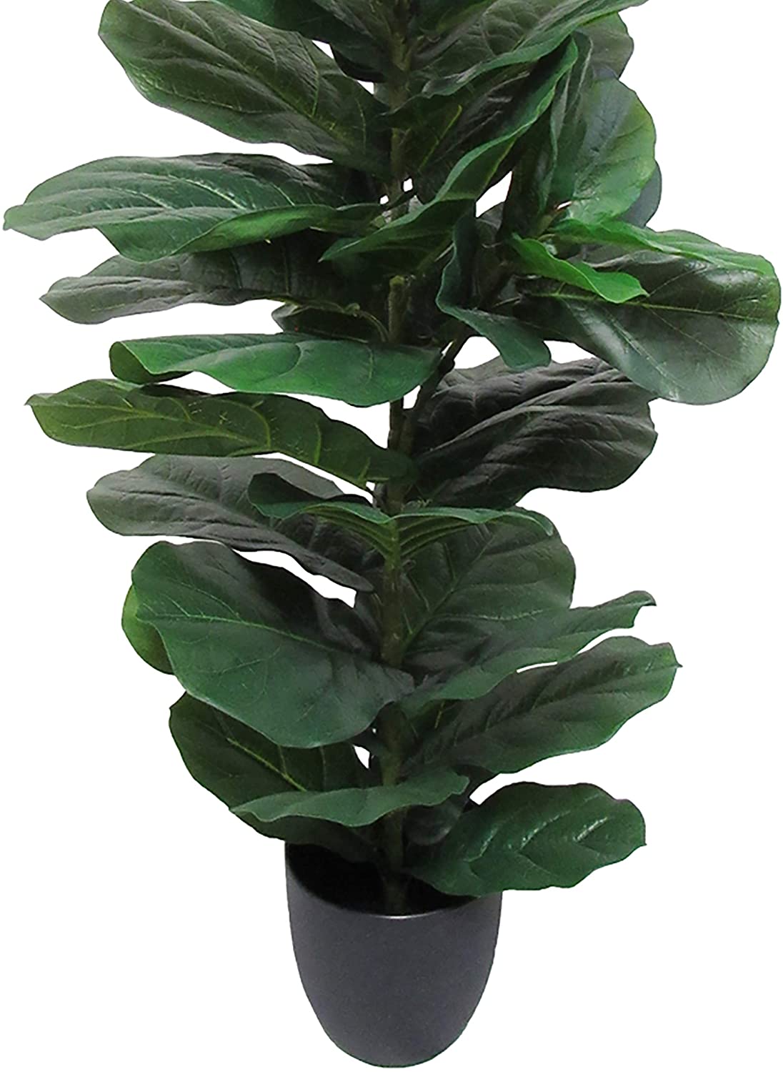 UKN 3 5ft Real Touch Leaf Fig Tree Pot 40" H X 20" W Dp Green