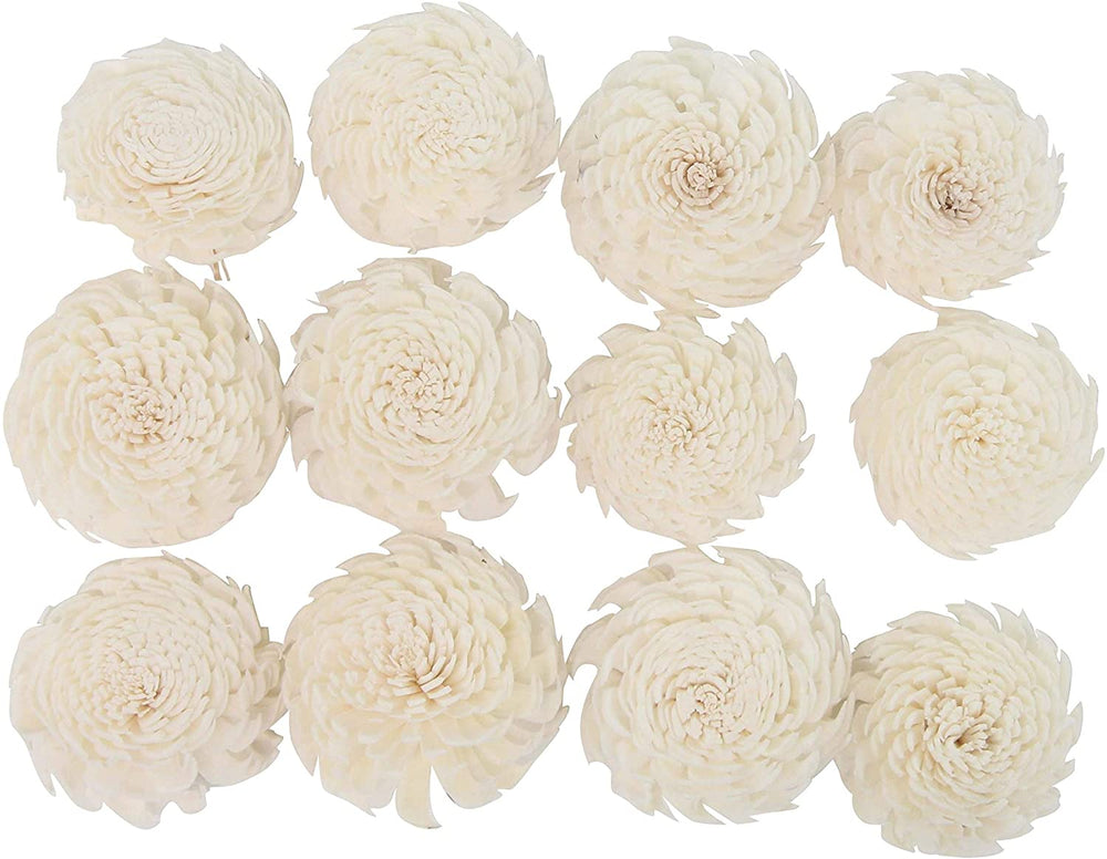 Set 2 Boxed Natural White Carnation Flowers Bohemian Eclectic Fiber Finish