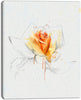 Rose Sketch White Back' Flower Artwork Canvas Yellow 12 Wide X 20 High Farmhouse Modern Contemporary Traditional Rectangle Wood 1 Panel