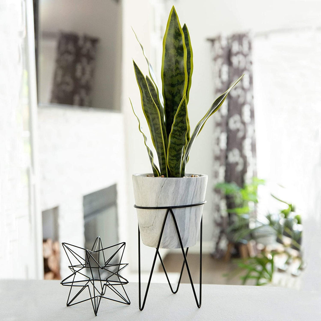 1 75ft Snake Plant Marble Metal Stand One Size