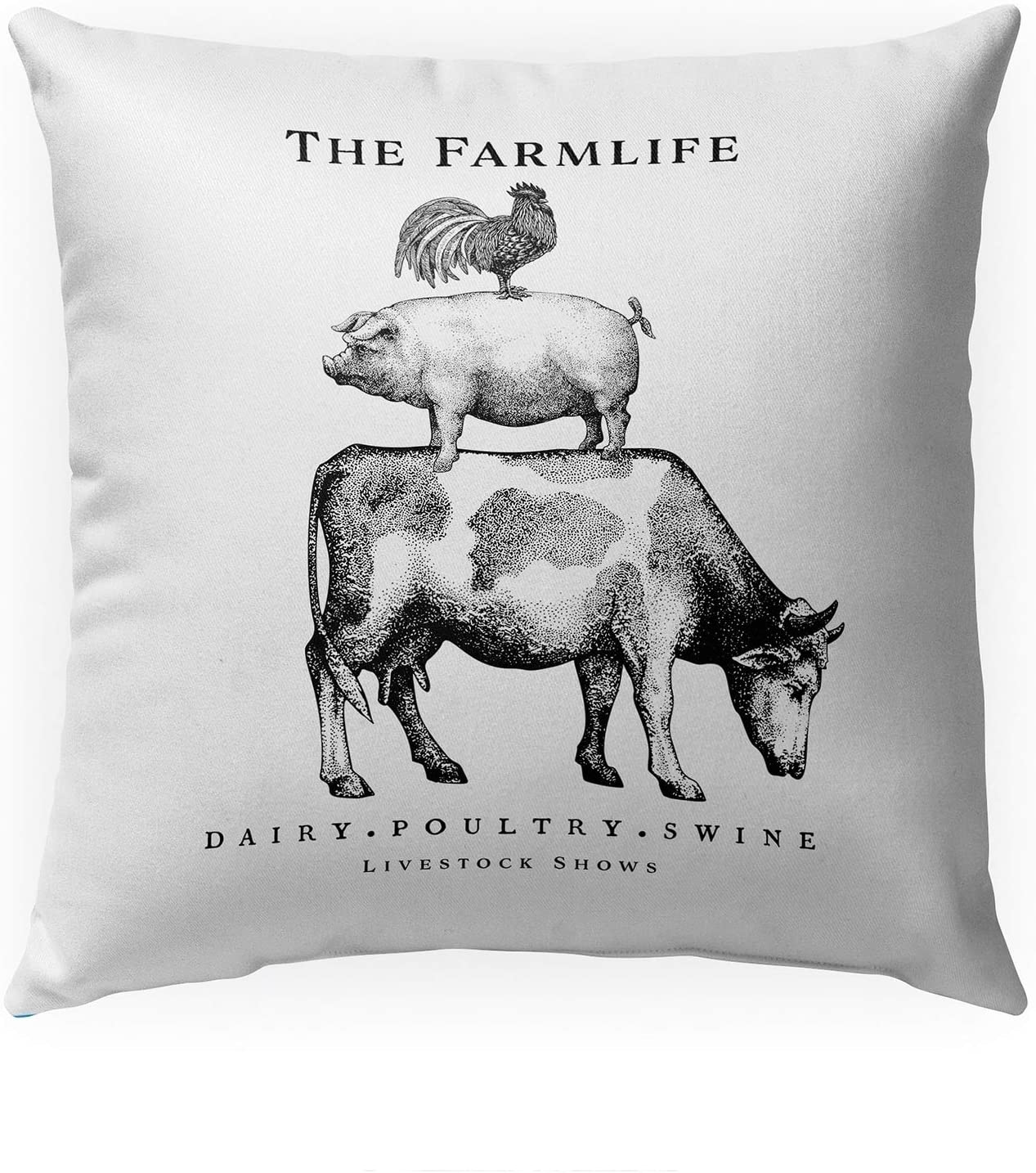 MISC Farm Life Indoor|Outdoor Pillow by 18x18 Black Geometric Farmhouse Polyester Removable Cover