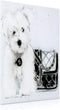 Black White Dog Wall Art Frameless Free Floating Tempered Glass Modern Contemporary