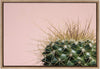 Botanical Cactus Framed Canvas Wall Art Gold 18 X 24 Modern Contemporary Rectangle