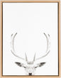 Deer Portrait 18x24 Natural Framed Canvas Wall Art Modern Contemporary Rectangle