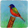 Painted Bunting Coaster Set 4 Color Synthetic Fiber
