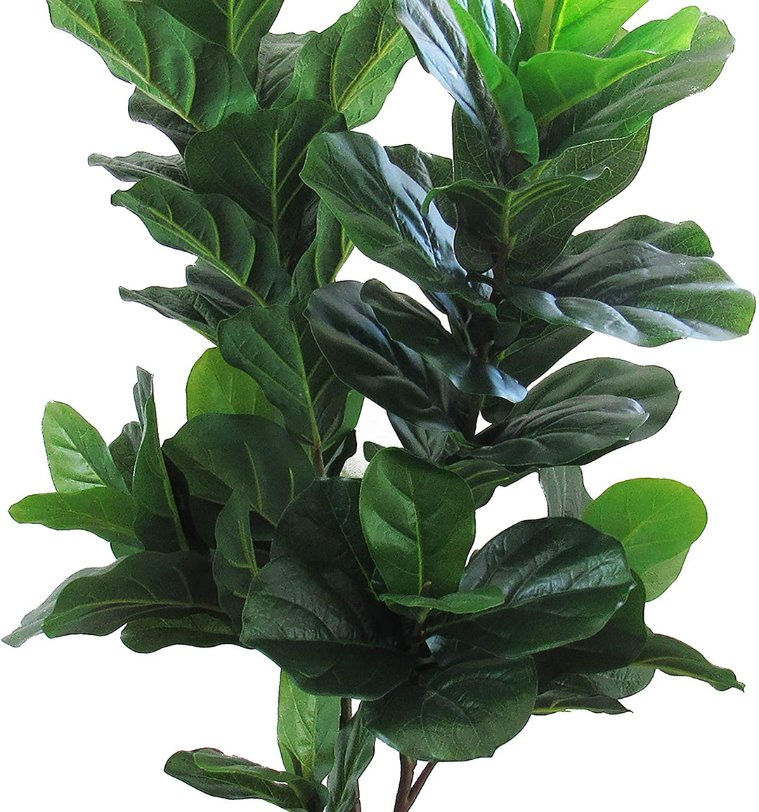 4ft Leaf Fig Tree Pot 46" H X 24" W 15" Dp Green - Diamond Home USA