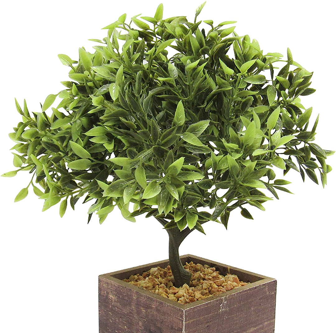 Leaf Tree Square Wood Pot 11in 11" H X 7 5" W Dp Green - Diamond Home USA