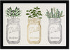 Unknown1 Mason Jars Plants Metallic' Food Wall Art Framed Kitchen White Gold Rustic Rectangle