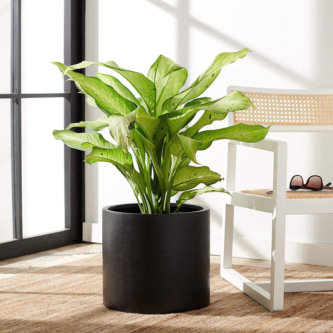 Outdoor Black Planter 14 5" W X L 12 9" H Modern