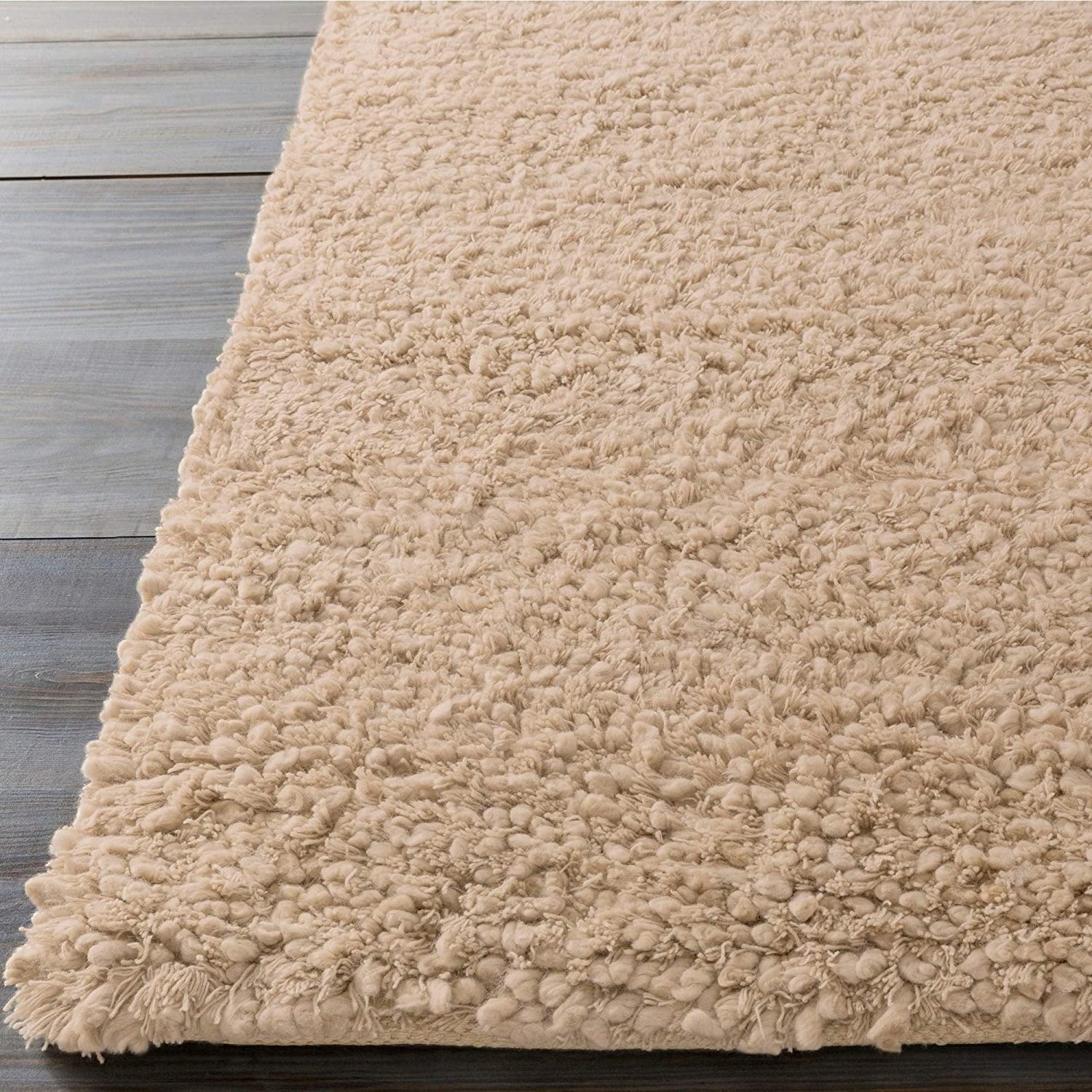 Hand Woven Beige New Zealand Wool Plush Shag Area Rug 3'6" X 5'6" Brown Solid Modern Contemporary Rectangle Latex Free Handmade