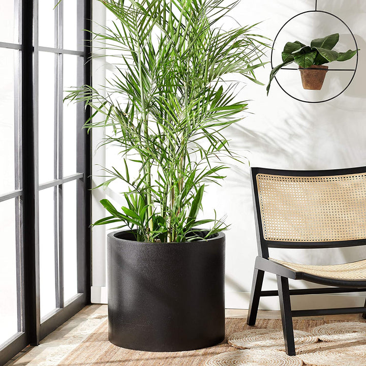 Outdoor Black Planter 21 6" W X L 19 2" H Modern