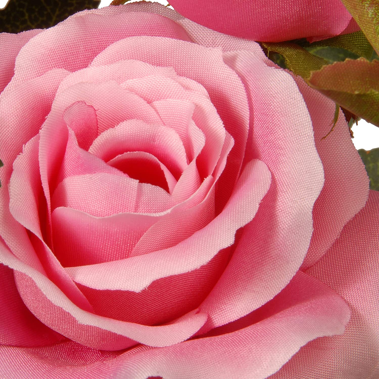 UKN 10" Potted Pink Rose Flowers