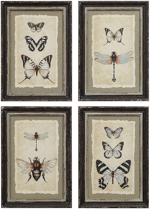 MISC Wood Framed Vintage Insect Prints (Set 4 Designs) 9 5