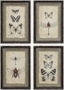 MISC Wood Framed Vintage Insect Prints (Set 4 Designs) 9 5" X 13 5" Beige French Country