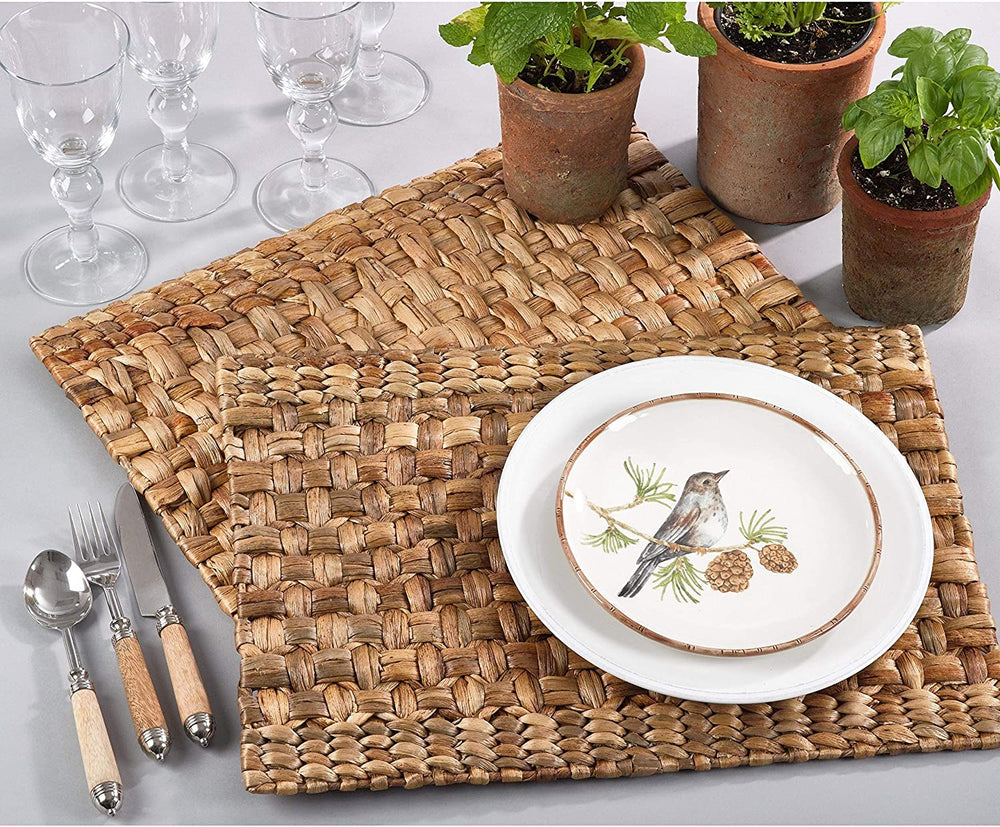 Woven Design Water Placemat Set Tan Modern Contemporary Organic