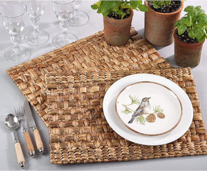 Woven Design Water Placemat Set Tan Modern Contemporary Organic