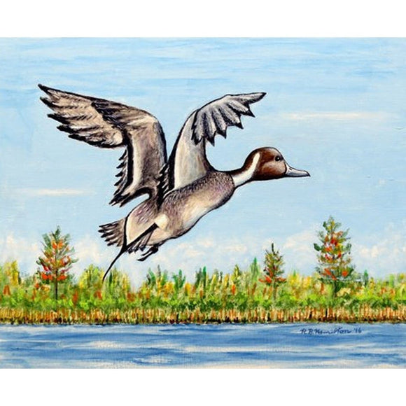 Pintail Duck Multicolored Placemat (Pack of 4) Multi Color Animal Modern Contemporary Rectangle Polyester - Diamond Home USA