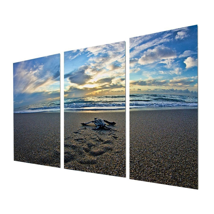 Chris Doherty 'Turtle' Acrylic Art 3-piece Set - Multi-color Blue Nautical Coastal