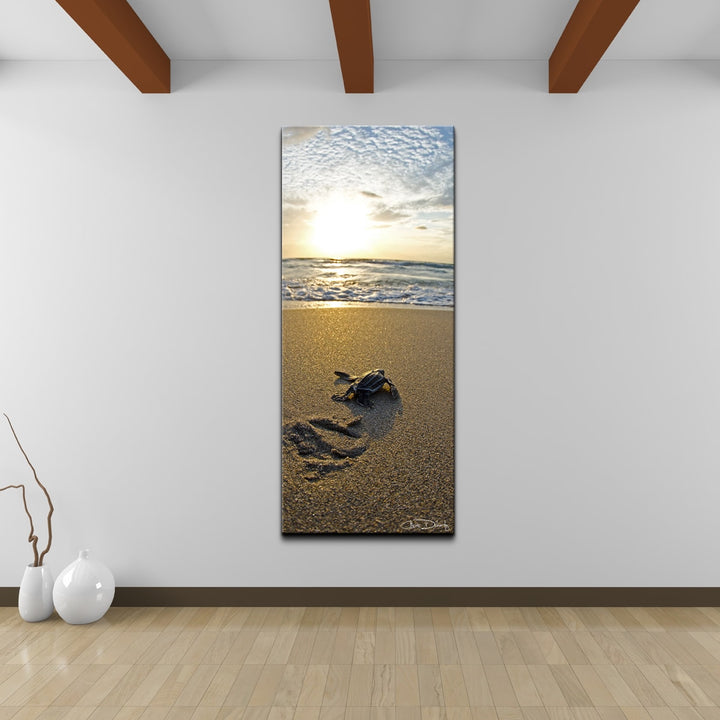 Christopher Doherty 'Baby Sea Turtle' Canvas Wall Art Brown Rectangle