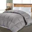 Luxurious Comforter Stylish High Class Bedding Baffle Bo Egyptian Cotton Down Alternative Type Hypoallergenic Extra Warmth Fancy