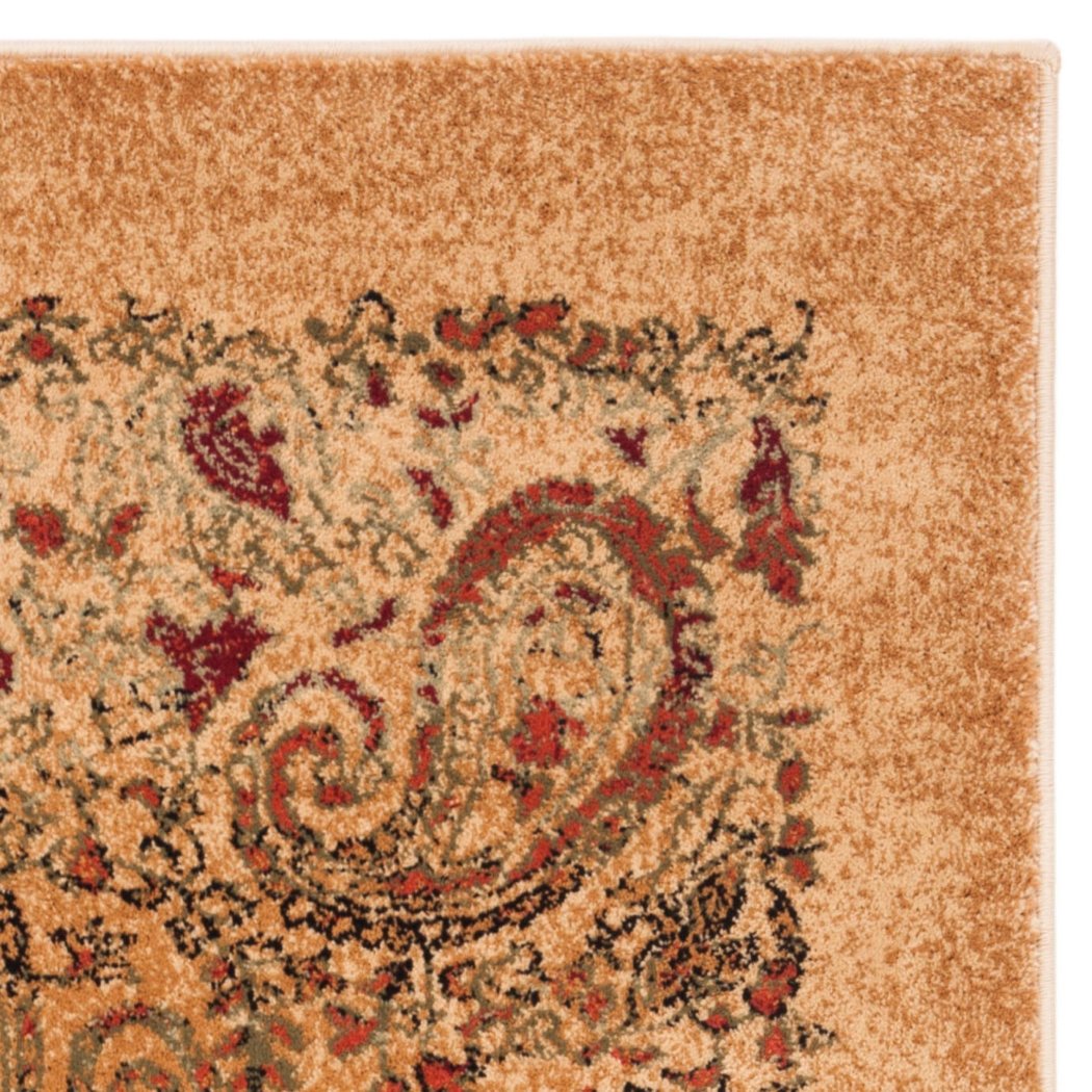 3'3"x5'3"ft Beige Colored Red Rust Green White Sophisticated Paisley Patterned Area Rug Indoor Oriental Living Room Mat Rectangle Carpet Traditional - Diamond Home USA